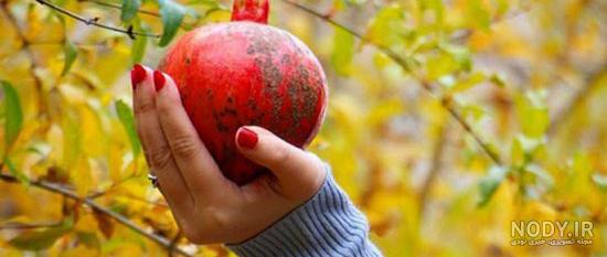 ذات آدمها عوض نمیشه