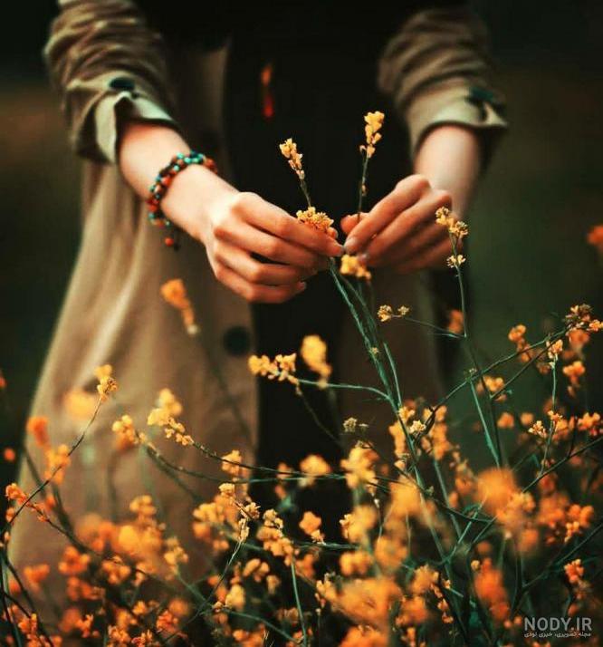 عکس صفحه نارنجی ساده عکس صفحه نارنجی ساده