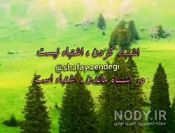 کلیپ برای وضعیت واتساپ کلیپ برای وضعیت واتساپ
