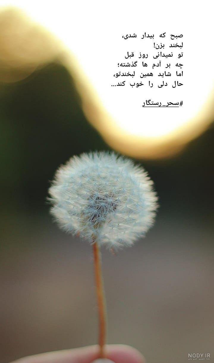 کلیپ شاد حال خوب برای استوری کلیپ شاد حال خوب برای استوری