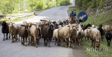 یکی از روستاهای مشهور گیلان