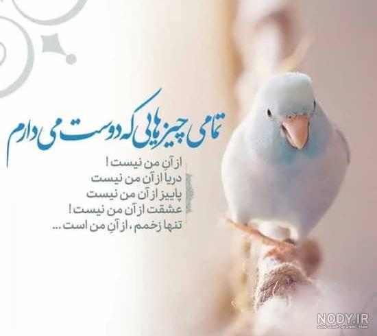 عکس نوشته های زیبا و جالب عکس نوشته های زیبا و جالب