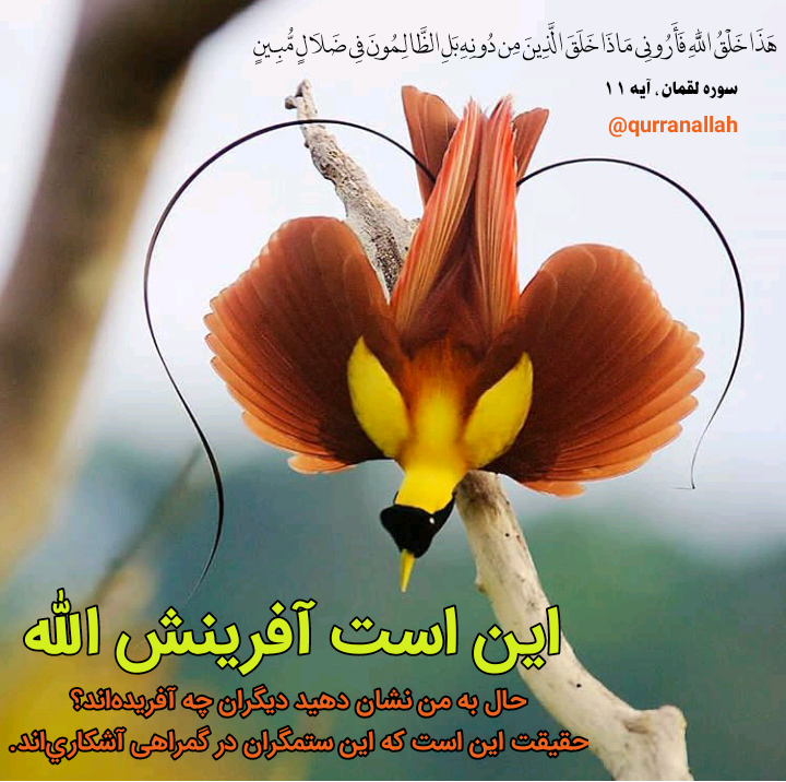 دعای قرآنی برای پروفایل دعای قرآنی برای پروفایل