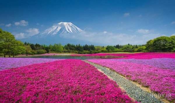 عکس دیدنی های ژاپن