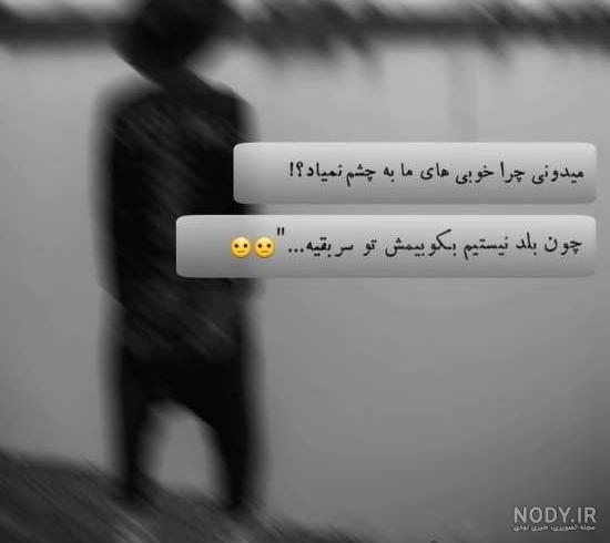 عکس پروف شاخ