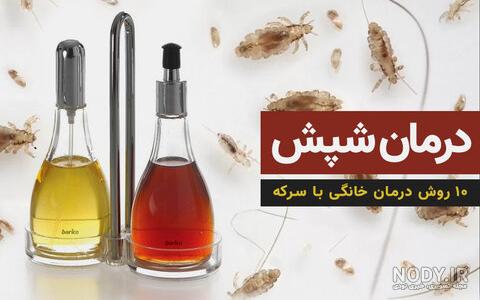 انواع حشرات حبوبات
