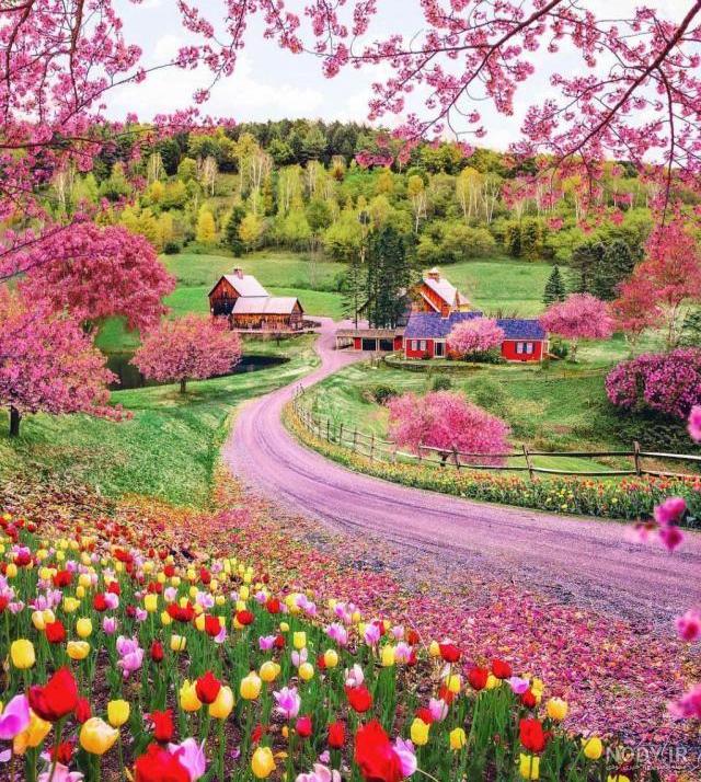 عکس زیبای پروفایل خانوادگی