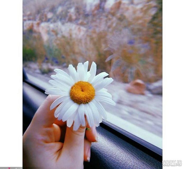 عکس پروفایل برای گروه دخترانه