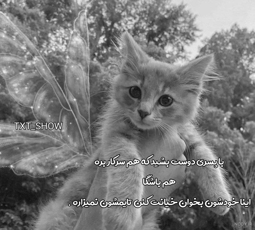 پروفایل گروه عشقولیا