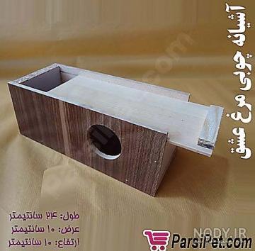 عکس لانه مرغ عشق