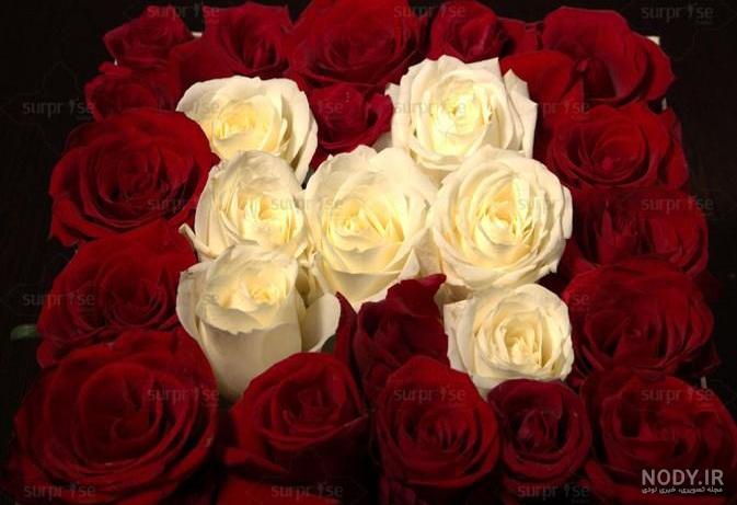 عکس های زیبا از حروف h عکس های زیبا از حروف h