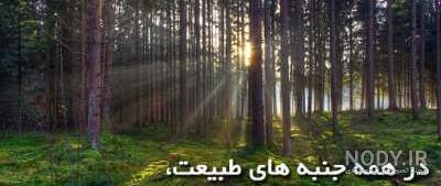 عکس نوشته در مورد طبیعت