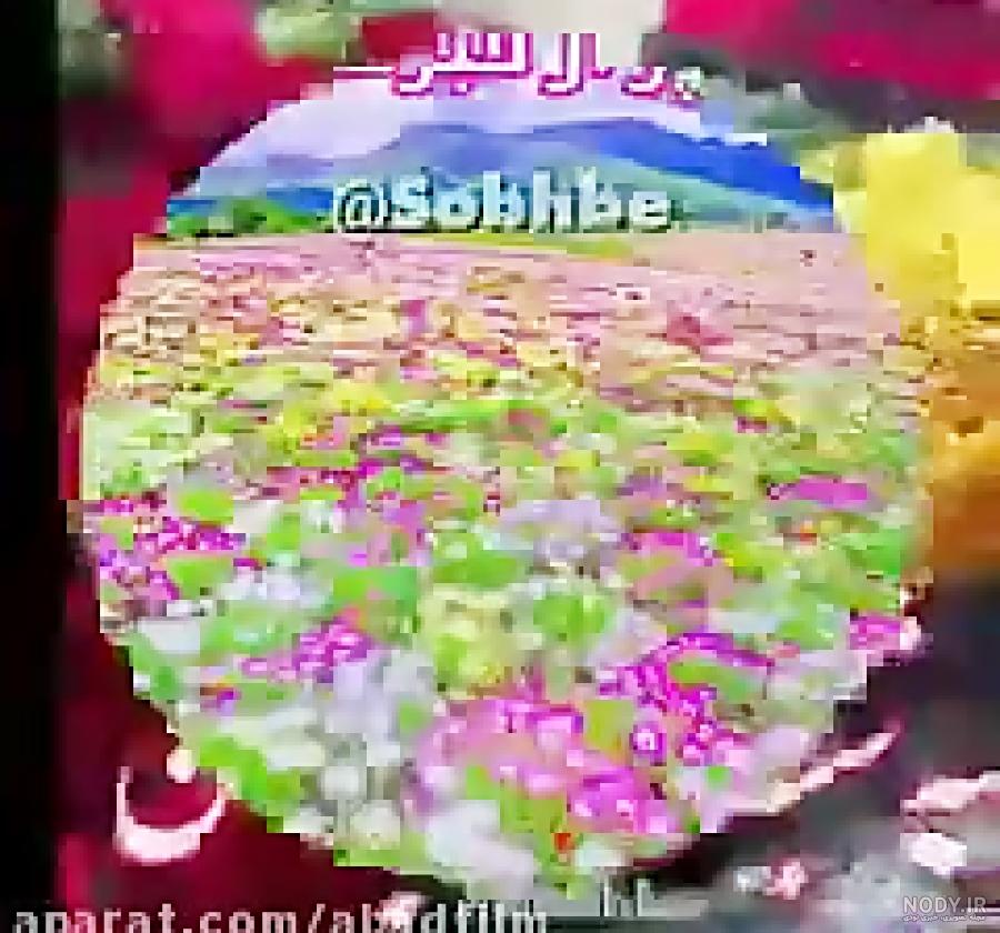 سلام بر سه شنبه سلام بر سه شنبه