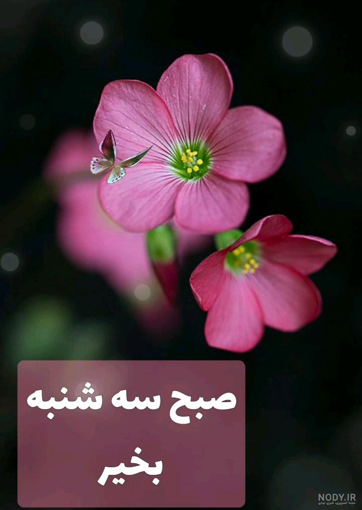 سلام روز سه شنبه تون بخیر سلام روز سه شنبه تون بخیر