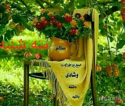 صبح بخیر پر انرژی برای عشقم صبح بخیر پر انرژی برای عشقم