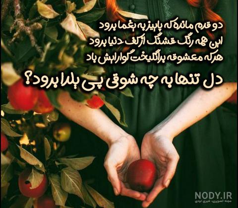 عکس شب یلدا با کیفیت بالا عکس شب یلدا با کیفیت بالا