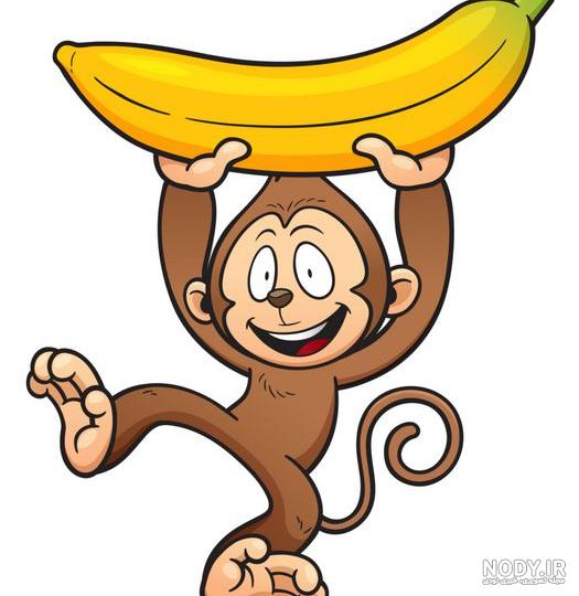 فیلم خوردن موز میمون