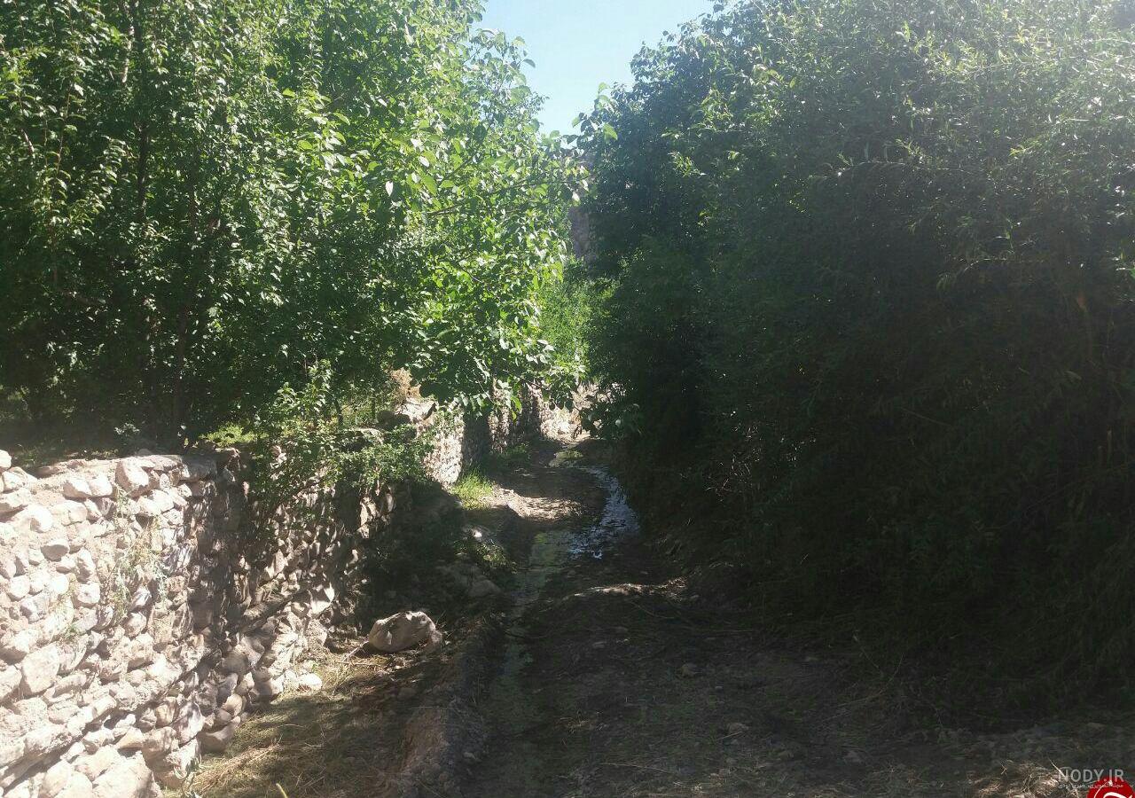 اسکودر اسکودر