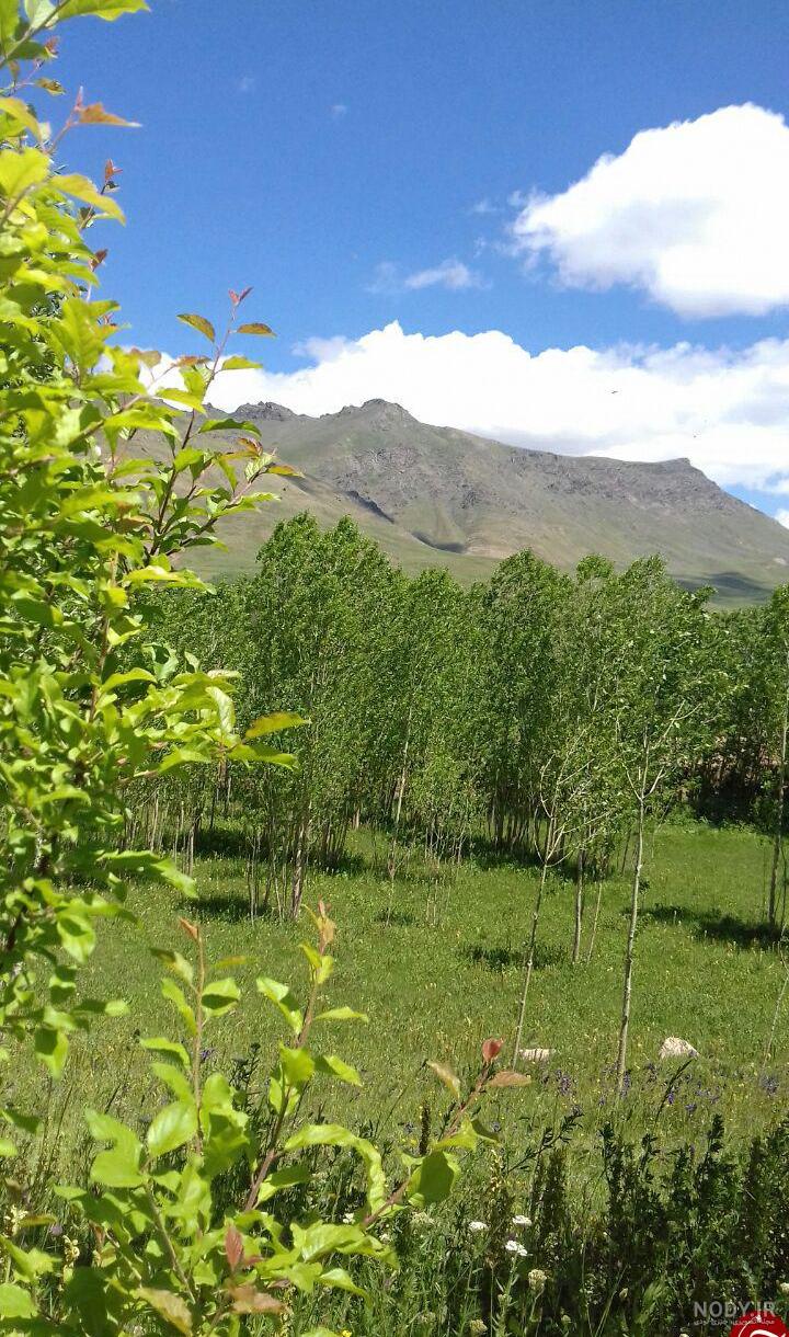 طبیعت عنصرود طبیعت عنصرود