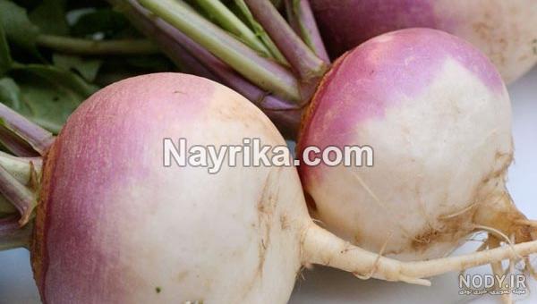 عکس شلغم در خاک عکس شلغم در خاک