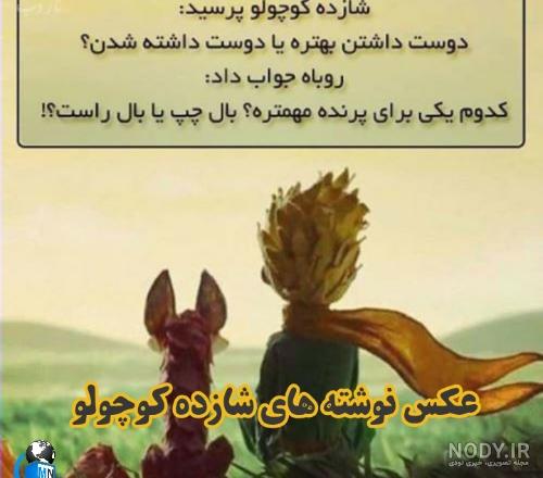 عکس نوشته های داستان شازده کوچولو