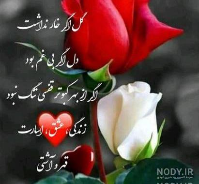 عکس گل زیبا