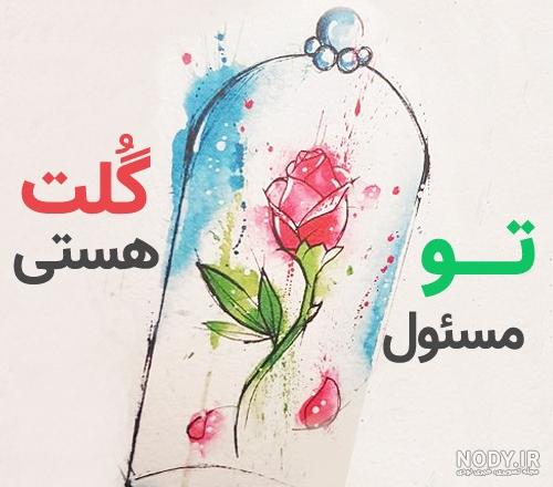 نکات کتاب شازده کوچولو