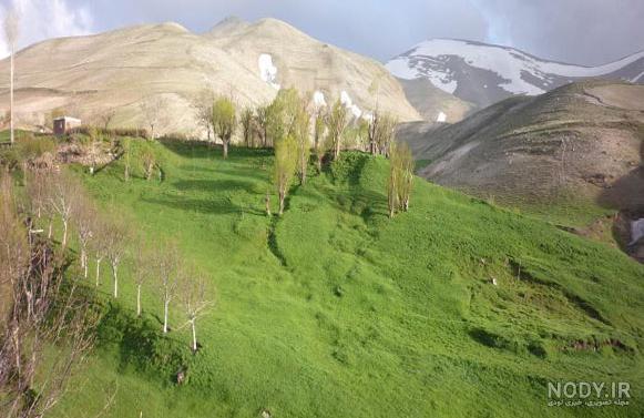 کندوان کندوان