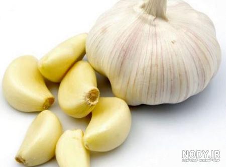 لیست غذاهای ایرانی نونی لیست غذاهای ایرانی نونی