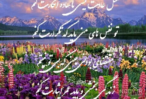 عکس طبیعت واقعی تابستان