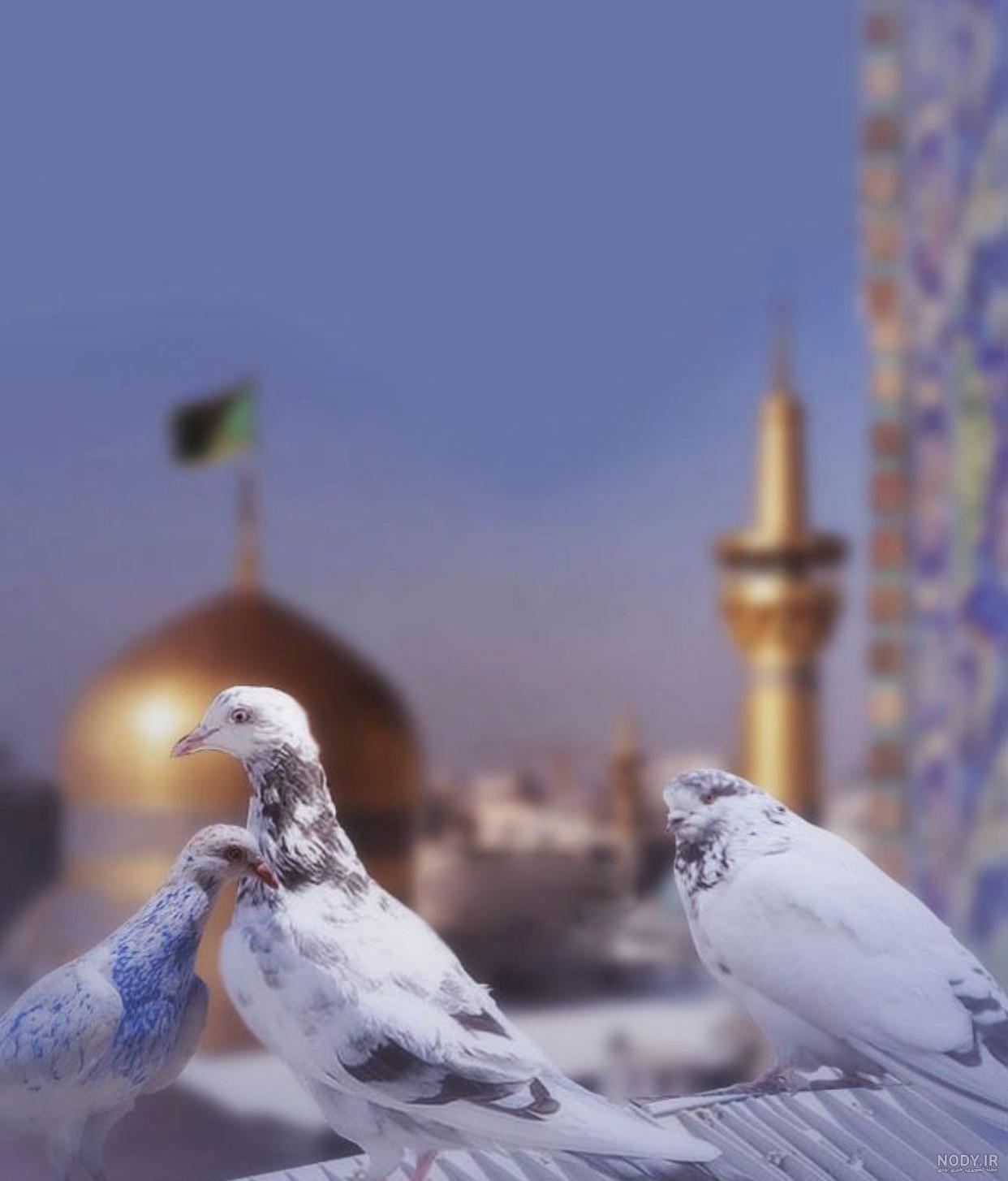 عکس حرم امام رضا برای وضعیت واتساپ عکس حرم امام رضا برای وضعیت واتساپ
