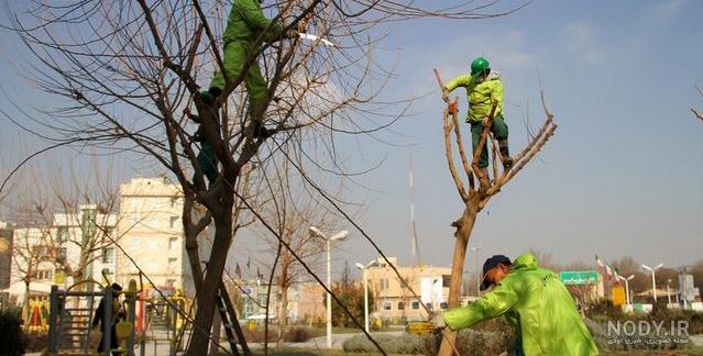 عکس برفی عاشقانه عکس برفی عاشقانه