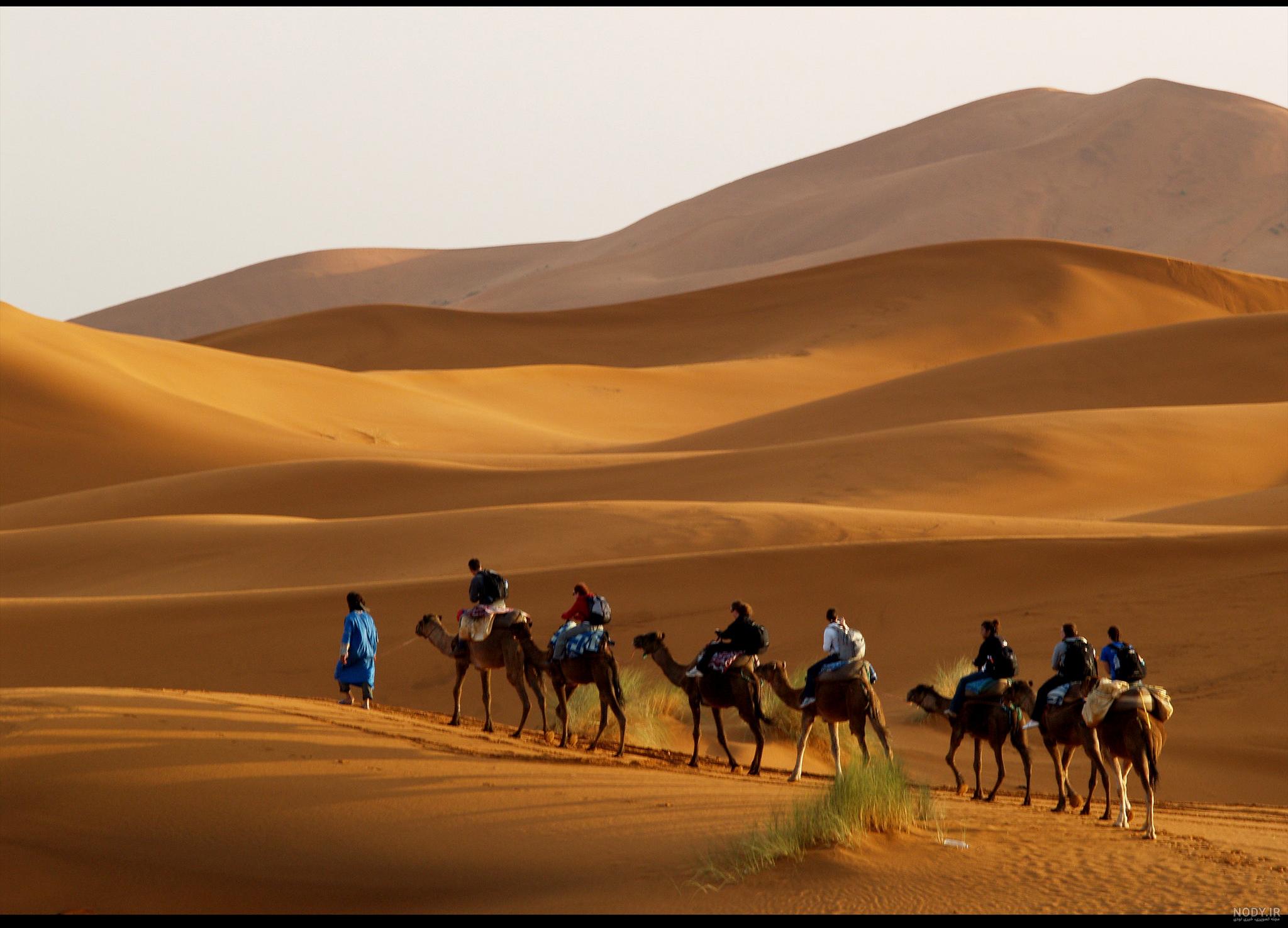 کویر فهرج یزد کویر فهرج یزد