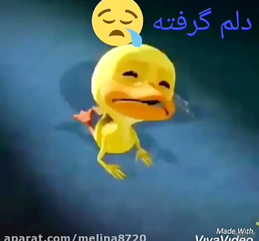 بهترین آهنگ برای وضعیت واتساپ