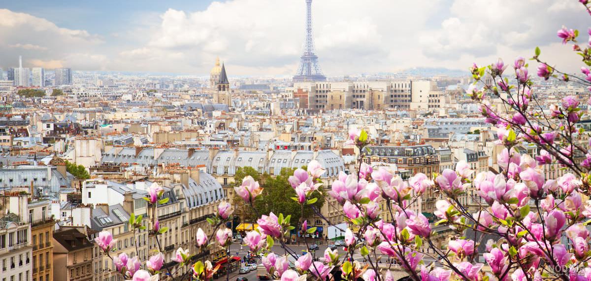 جاهای دیدنی پاریس در سه روز