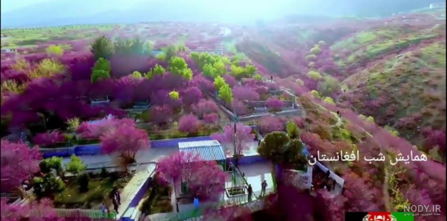 دو بنای تاریخی کشور افغانستان را نام ببرید