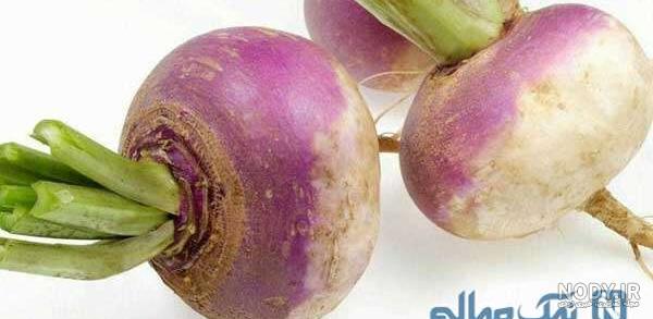 عکس شلغم فرنگی عکس شلغم فرنگی