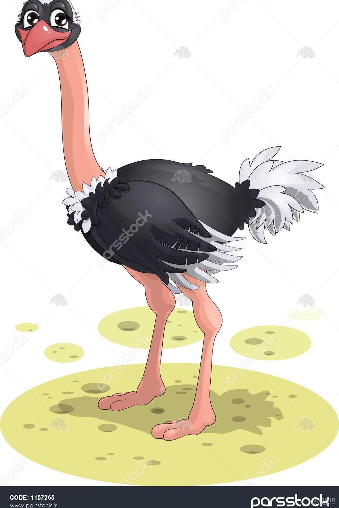 عکس نقاشی شتر