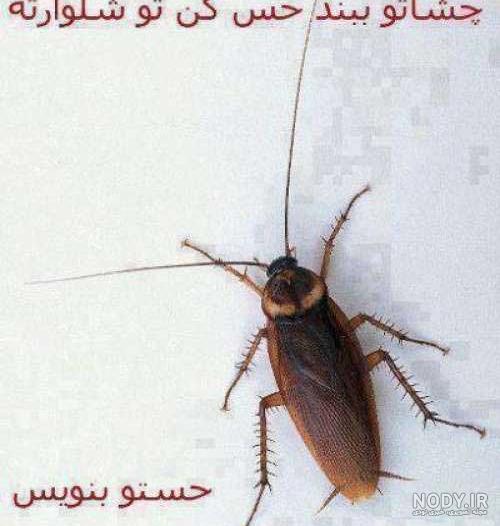 عکس نوشته چشمام