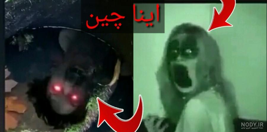 عکسهای وحشتناک جنگل عکسهای وحشتناک جنگل