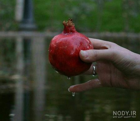 عکس شب یلدا با کیفیت بالا عکس شب یلدا با کیفیت بالا