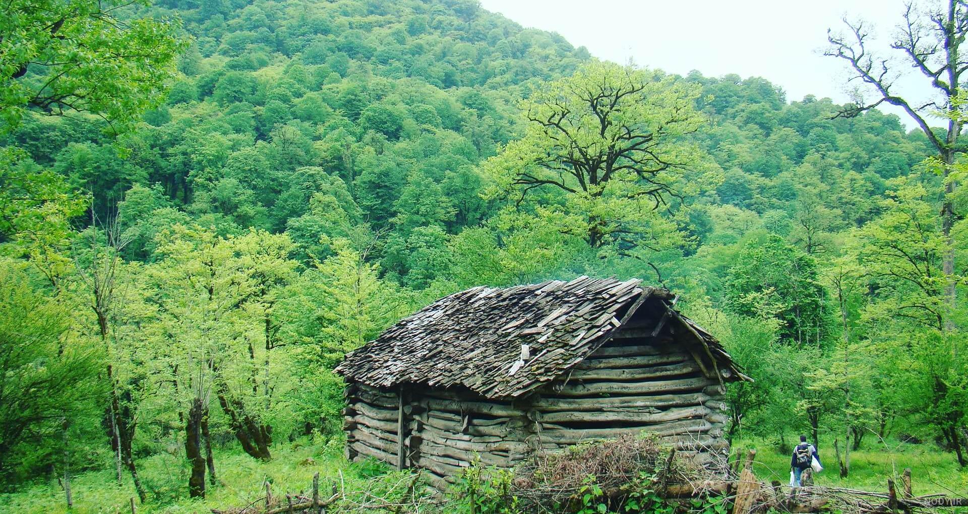 عکس کلبه جنگلی پاییزی