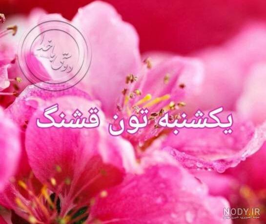 استوری صبح بخیر پر انرژی
