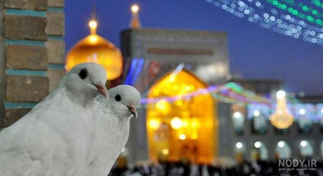 زیباترین عکس کربلا