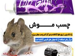 غذای چینی ها موش