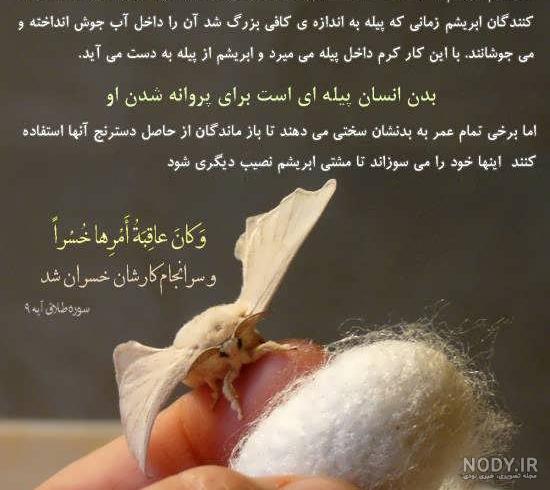 نوشته های قرآنی زیبا نوشته های قرآنی زیبا