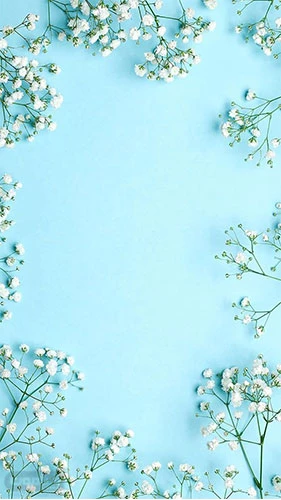 پس زمینه آبی فیروزه ای