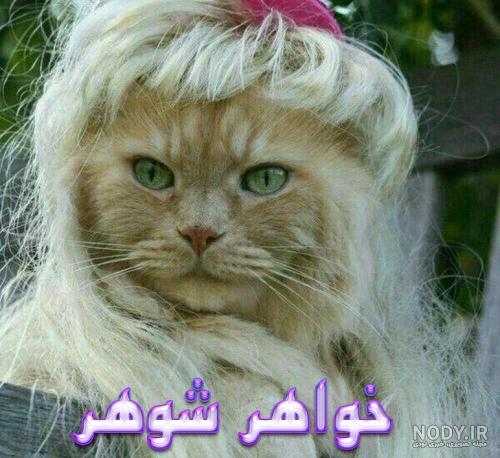 استوری برای خواهر شوهر