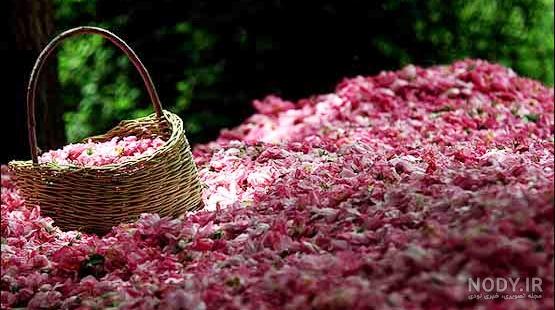عکس نوشته خدا جدید ۱۴۰۰