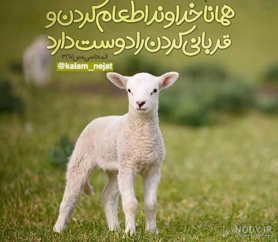 استیکر عید قربان برای واتساپ استیکر عید قربان برای واتساپ